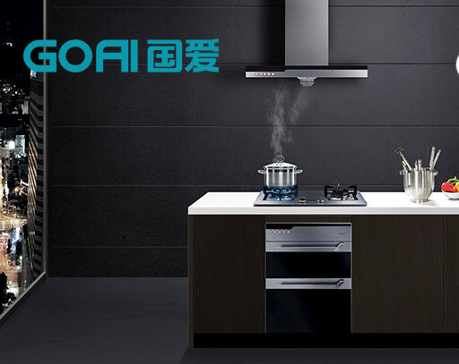 國(guó)愛(ài)GOAI以“推行綠色廚電，服務(wù)全球家庭”為愿景，致力于開(kāi)啟高質(zhì)量、高性能、高安全性和節(jié)能環(huán)保的全電化廚電新時(shí)代，為客戶提供一站式全球領(lǐng)先的綠色能源廚電解決方案。目前，公司已成功自主研發(fā)了領(lǐng)先的電火灶產(chǎn)品，并取得多項(xiàng)技術(shù)專(zhuān)利與認(rèn)證。