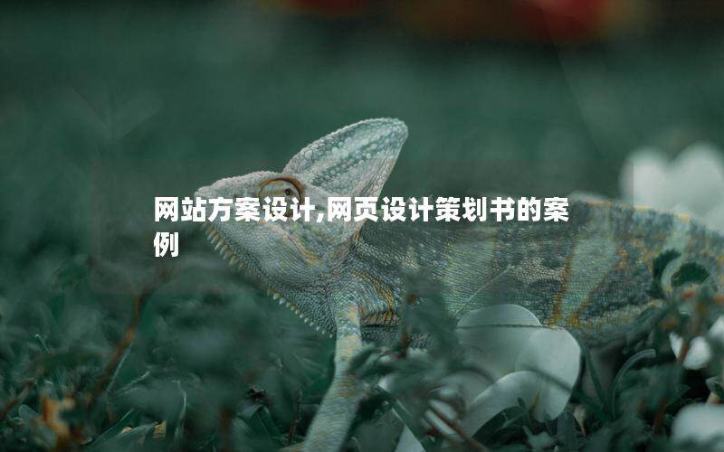網(wǎng)站方案設(shè)計(jì),網(wǎng)頁設(shè)計(jì)策劃書的案例