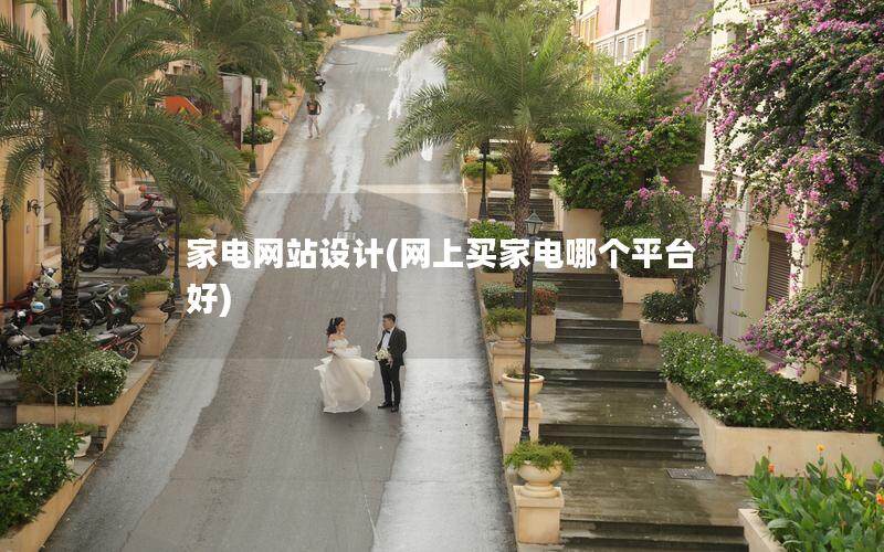 家電網(wǎng)站設(shè)計(jì)(網(wǎng)上買家電哪個(gè)平臺好)